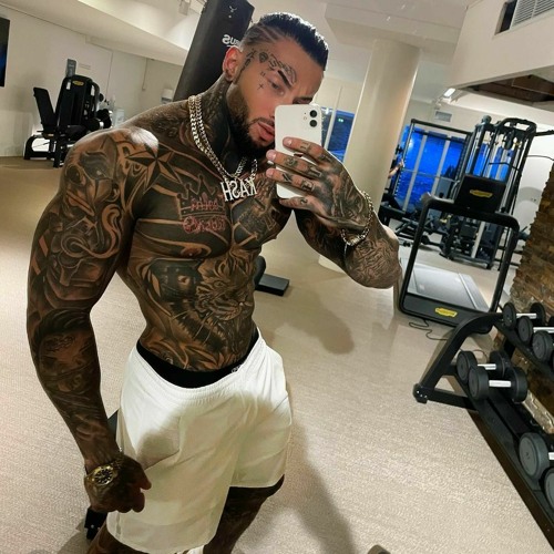 Stream Romanian Final Boss Theme song [long version] by ØNИĪ | Listen online for free on SoundCloud