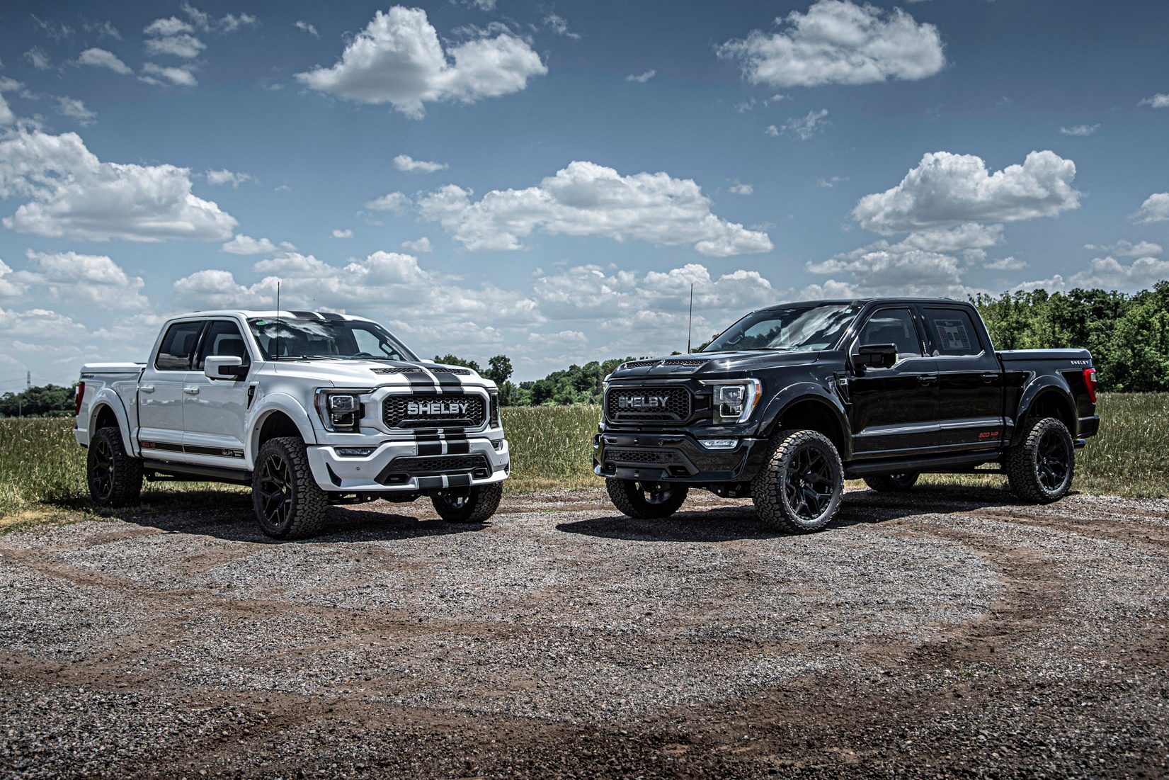 Shelby launches super pickup Ford F-150 100th anniversary edition - photo 1