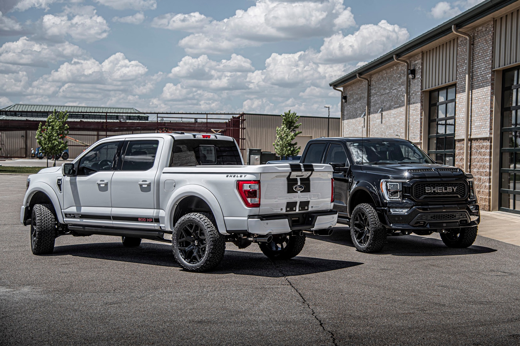 Shelby launches super pickup Ford F-150 100th anniversary edition - photo 2